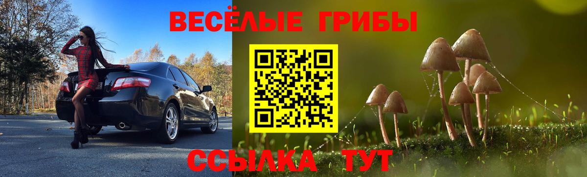 купить  сайты  Галлюциногенные грибы Cubensis  Вход с VPN  Вольск 